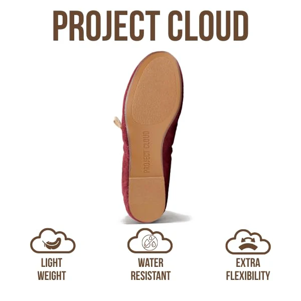 Project Cloud Women's | Mary Jane Shoes Women Ballet Flats | Memory Foam | Lightweight | Non-Slip - Emilee - Image 10
