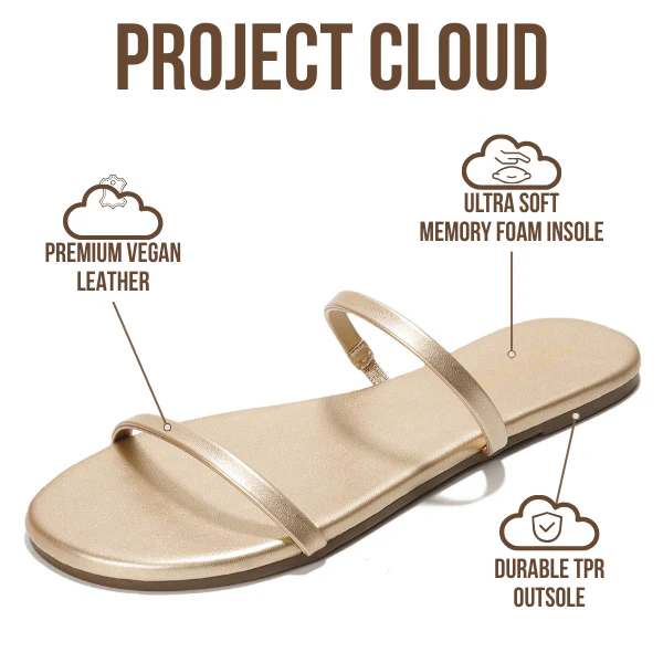 Project Cloud Women's | Flip Flops for Women | Eco-Leather | Memory Foam | Non-Slip - Transition - Image 50